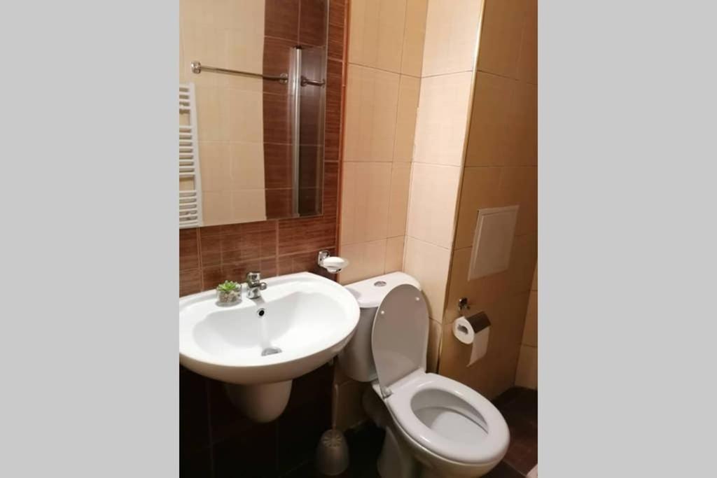 Sunny Studio Apartment - Few Steps From Gondola Bansko Exterior photo